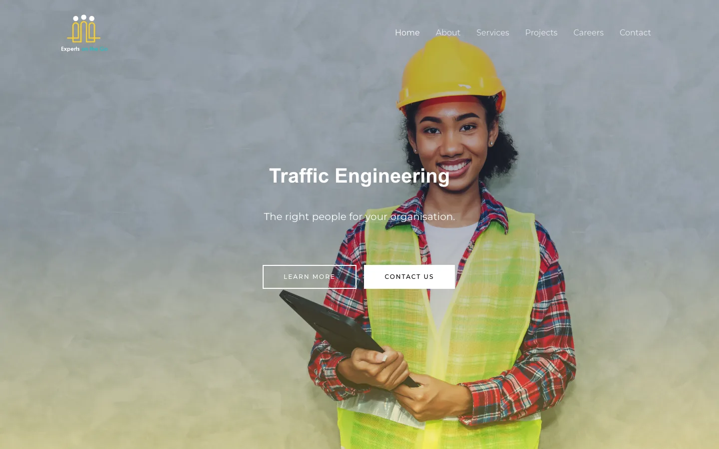 Experts on the Go homepage